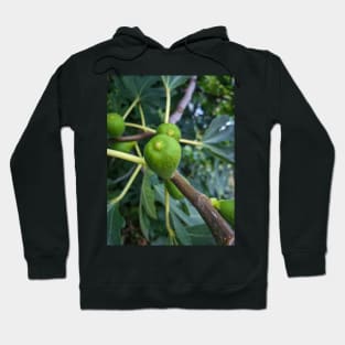 Summer Green Fig Fruit Hoodie